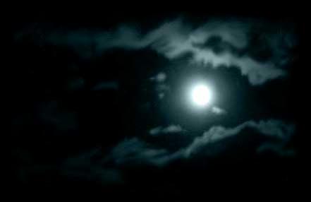 moonlight01.jpg