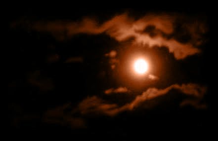 moonlight01_orange.jpg